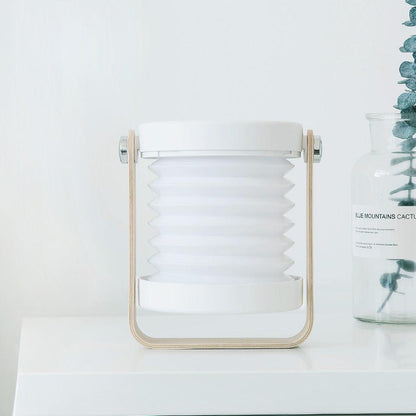 4-in-1 lamp