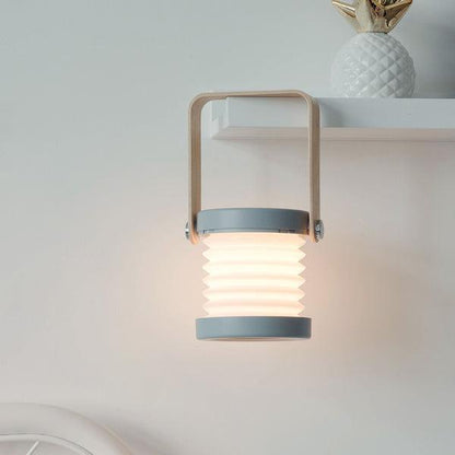 4-in-1 lamp